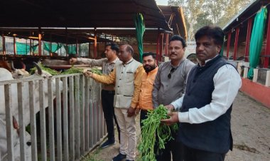 भाजपा विधायक का जन्मदिन  कार्यकर्ताओं ने कुछ इस तरह बनाया