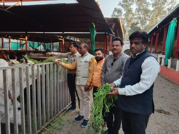 भाजपा विधायक का जन्मदिन कार्यकर्ताओं ने कुछ इस तरह बनाया