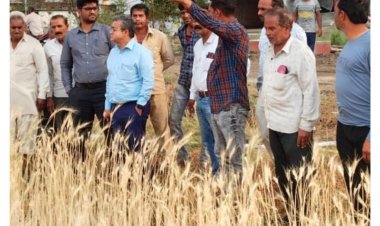 फसल नुकसानी सर्वे के लिए विधायक दिलीप मकवाना के निर्देश पर प्रशासनिक अमला पहुंचा खेतों में