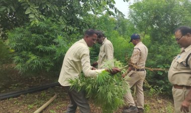 पुलिस ने युवक को अवैध मादक पदार्थ के साथ किया गिरफ्तार