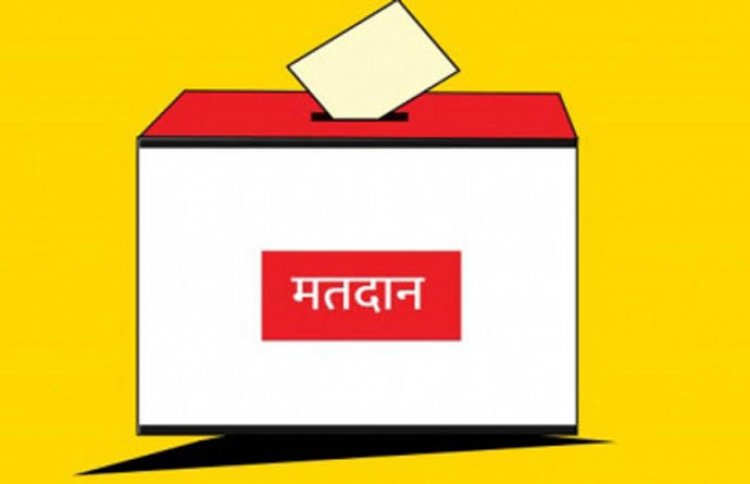 संसदीय क्षेत्र रतलाम झाबुआ, देख कितना प्रतिशत हुआ मतदान