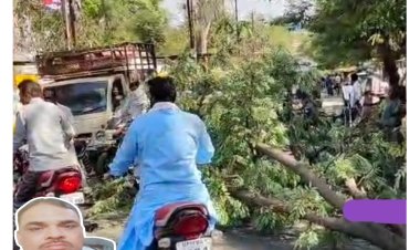 कुछ दिन पूर्व सर्किल जेल के सामने पेड़ की टहनी(डाली) गिरने से घायल युवक की इलाज के दौरान हुई मौत.. देखें वीडियो