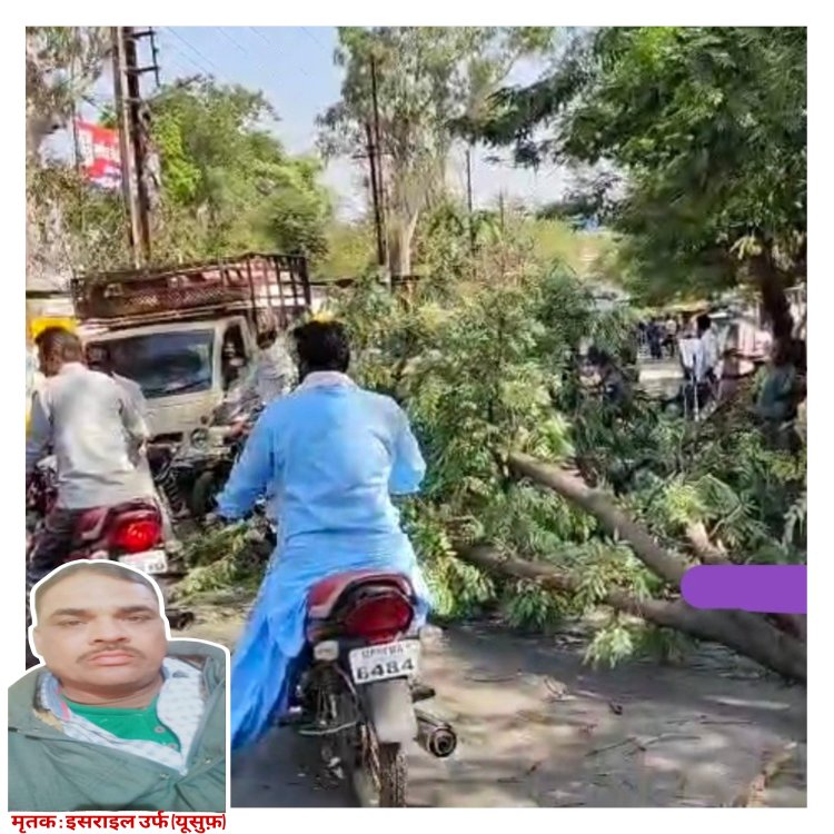 कुछ दिन पूर्व सर्किल जेल के सामने पेड़ की टहनी(डाली) गिरने से घायल युवक की इलाज के दौरान हुई मौत.. देखें वीडियो