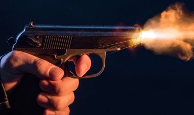 जन्मदिन की पार्टी में 'हर्ष फायर' से मची अफरा-तफरी, पड़ोसी के पैर में लगा छर्रा; सुरक्षा गार्ड गिरफ्तार