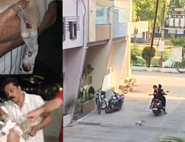 रतलाम में रूह कंपा देने वाली पशु क्रूरता: चलती स्कूटी से पिल्ले को घसीटा, दो महिलाओं पर FIR